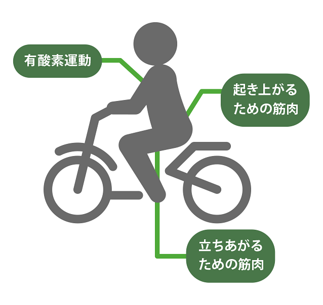 有酸素運動・起き上がるための筋肉・立ちあがる筋肉